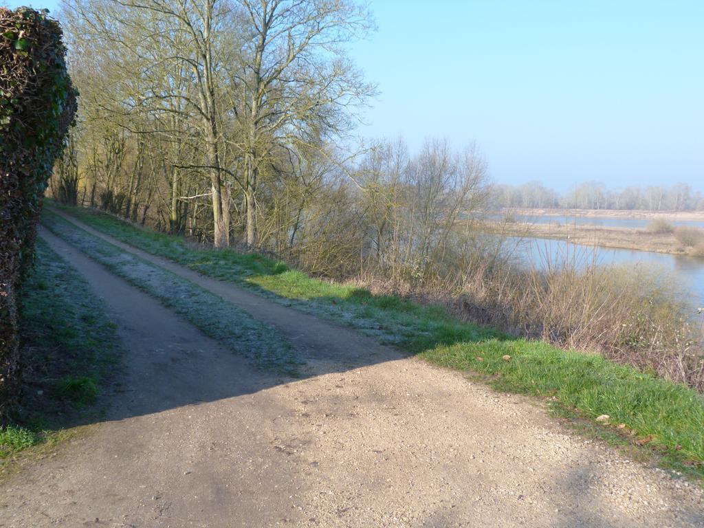 Les Gites De Colliers Muides-sur-Loire Cameră foto