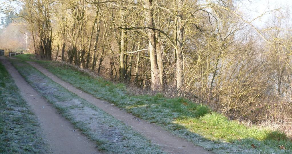 Les Gites De Colliers Muides-sur-Loire Cameră foto